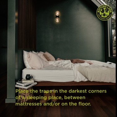 Posiziona le trappole negli angoli più bui di un luogo per dormire, tra i materassi e/o sul pavimento.