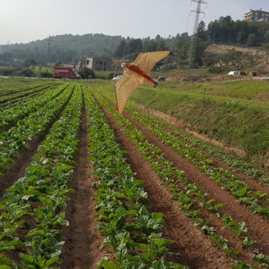 Installazione del Falco Spaventapasseri in Orto