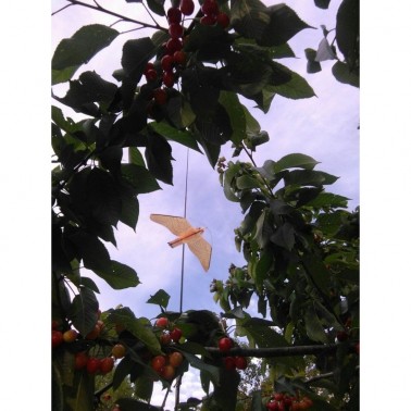 Installazione del Falco Spaventapiccioni negli Alberi da Frutto