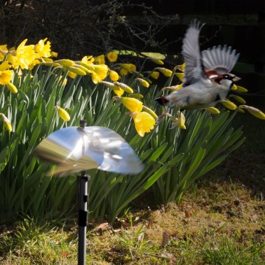 Girandole Scaccia-Uccelli Protezione per il Giardino