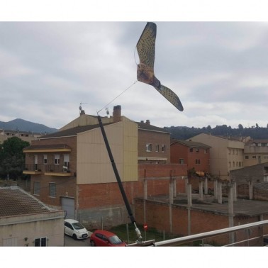 Falco Finto per Balcone