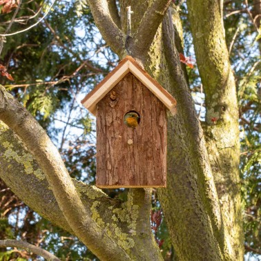 Casetta Nido per Uccelli "Nature" Un rifugio accogliente per piccoli uccelli nel suo giardino