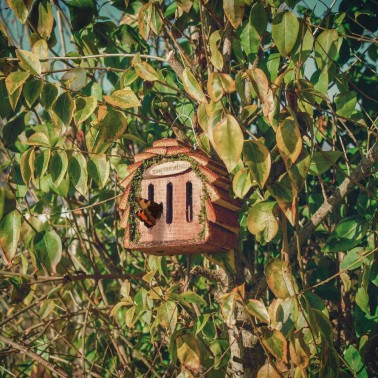 Casa per Farfalle Giardino