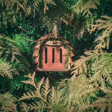 Casa per Farfalle