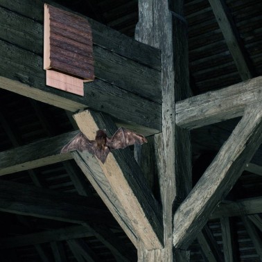 Casa per Pipistrelli