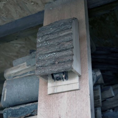 Rifugio per Pipistrelli