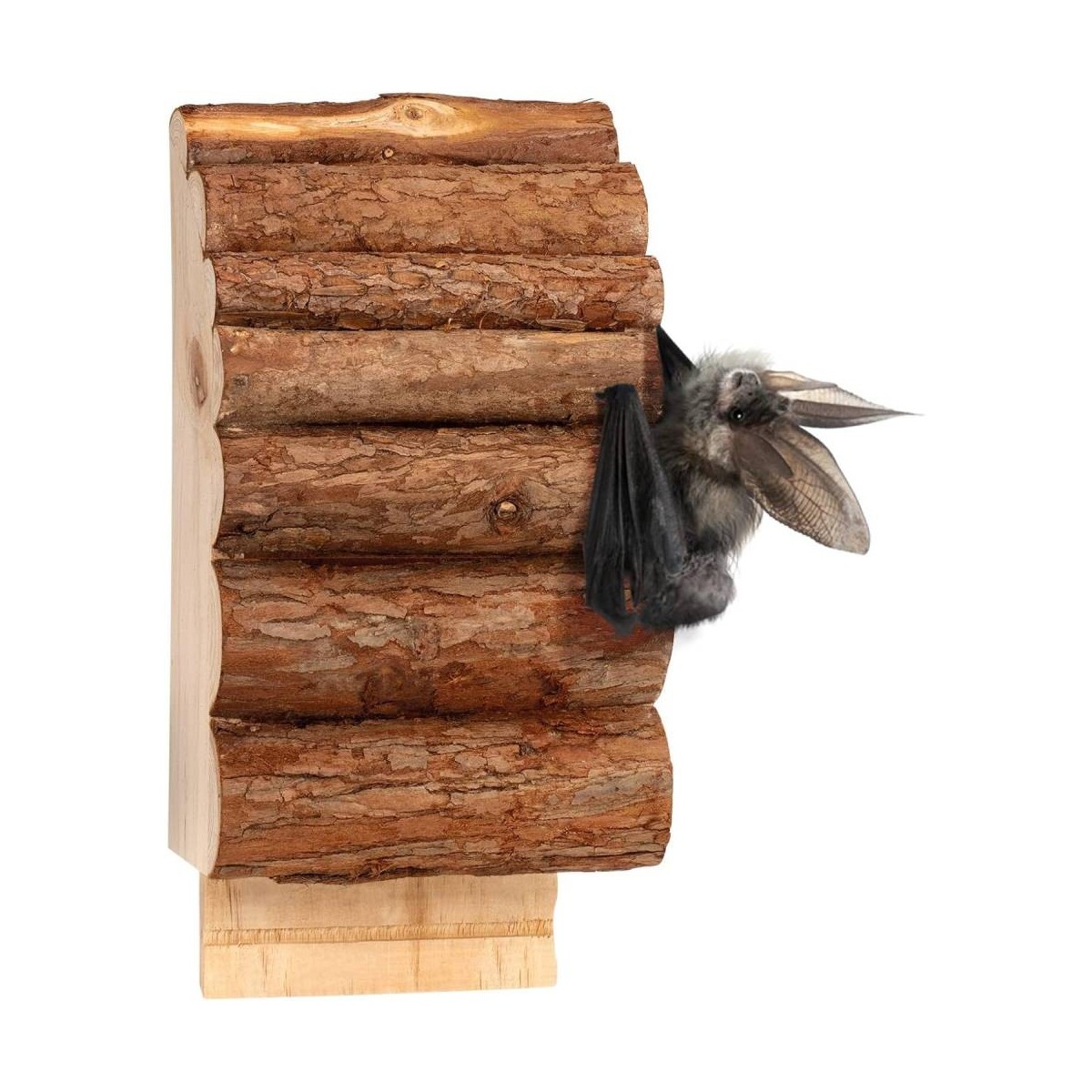 Casa per Pipistrelli
