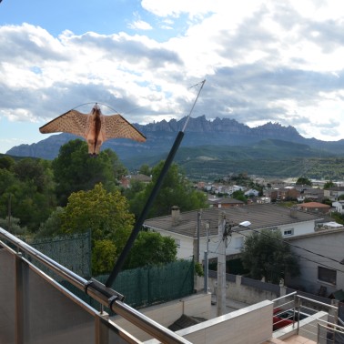 Falco Finto per Balcone