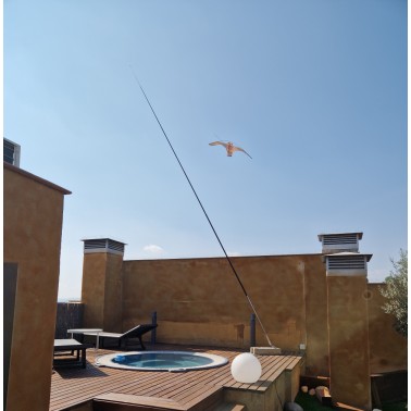Falco Finto