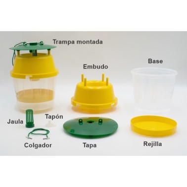 Trappola per Calabrone Asiatico - VELUTINATRAP - Montaggio