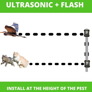 Garden Protector 4 con Flash | Repellente a Ultrasuoni per Animali