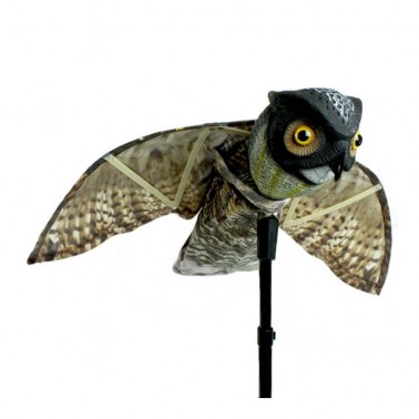 Gufo Spaventapasseri - Prowler Owl
