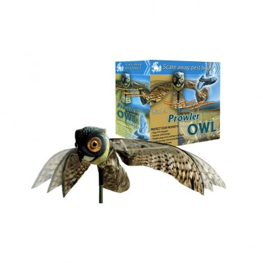 Gufo Spaventapasseri - Prowler Owl con Imballaggio