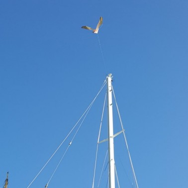StopGull Falcon Installato su una Barca in Porto