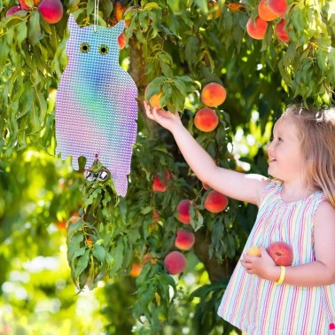 Gufo Riflettente Spaventa Uccelli Installato in un Albero da Frutto