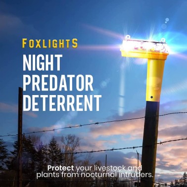 FoxLights Solare Deterrente per Predatori Notturni