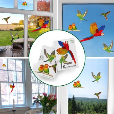 Adesivi Anti-Collisione per Uccelli - 4 Esempi di Installazione su Finestre