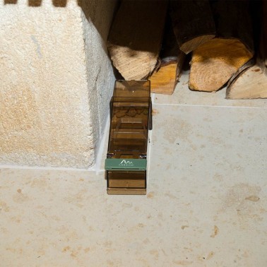 Trappola per Topi all'Esterno della Casa