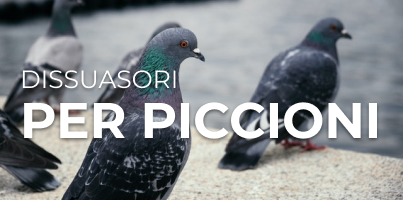 Dissuasori per Piccioni